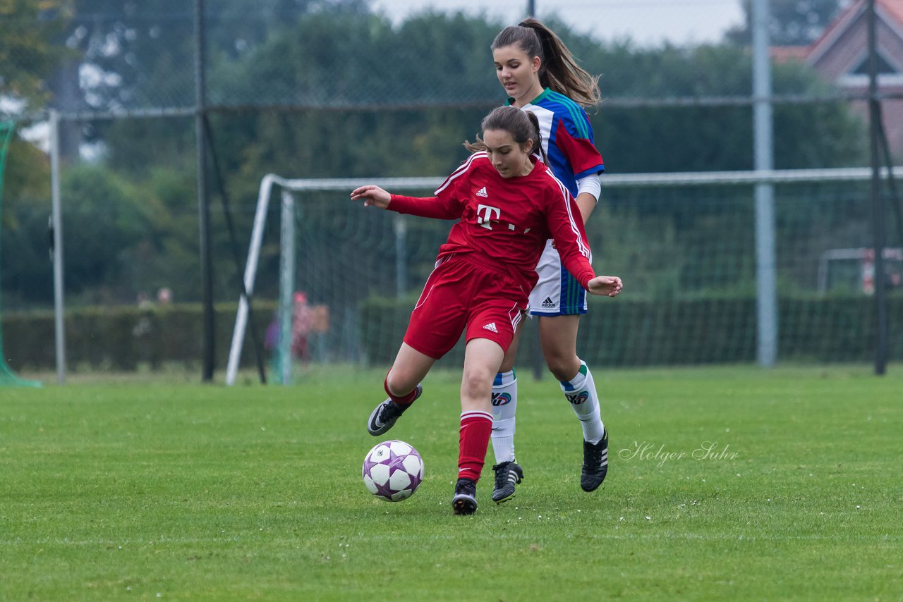 Bild 319 - B-Juniorinnen SV Henstedt Ulzburg - SV Wahlstedt : Ergebnis: 11:0